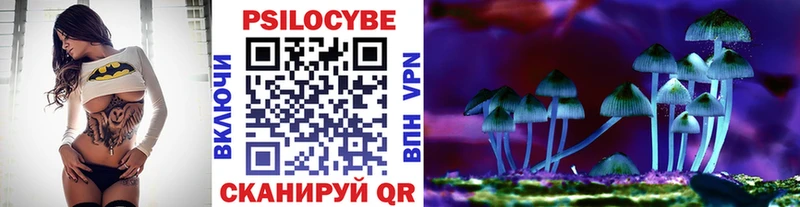 Галлюциногенные грибы мицелий  Купить где  Камышлов 